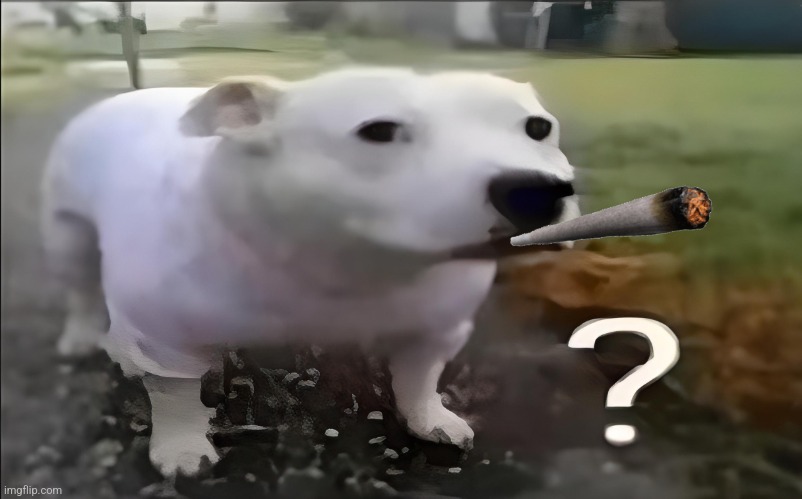 Hell nah the dawg smoking | image tagged in huh dog | made w/ Imgflip meme maker
