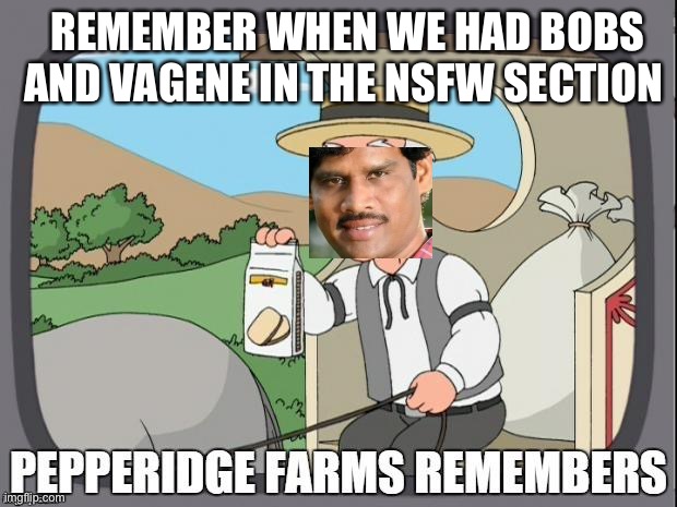 9GAG changed | REMEMBER WHEN WE HAD BOBS AND VAGENE IN THE NSFW SECTION | image tagged in pepperidge farms remembers | made w/ Imgflip meme maker