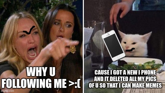 Angry lady cat | WHY U FOLLOWING ME >:(; CAUSE I GOT A NEW I PHONE AND IT DELETED ALL MY PICS OF U SO THAT I CAN MAKE MEMES | image tagged in angry lady cat | made w/ Imgflip meme maker