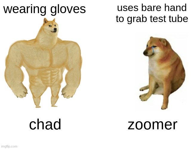 Buff Doge vs. Cheems | wearing gloves; uses bare hand to grab test tube; chad; zoomer | image tagged in memes,buff doge vs cheems | made w/ Imgflip meme maker