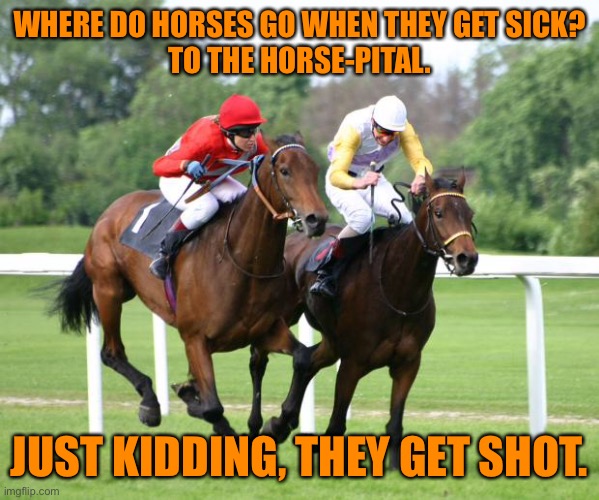 Horse racing | WHERE DO HORSES GO WHEN THEY GET SICK?
TO THE HORSE-PITAL.  ; JUST KIDDING, THEY GET SHOT. | image tagged in two horses racing,horses get sick,go to horse pital,kidding,get shot,dark humour | made w/ Imgflip meme maker