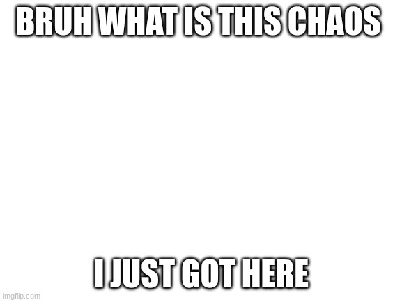 Blank White Template | BRUH WHAT IS THIS CHAOS; I JUST GOT HERE | image tagged in blank white template | made w/ Imgflip meme maker