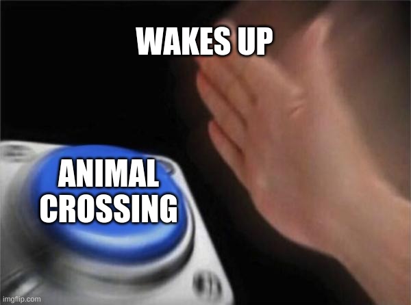 Blank Nut Button | WAKES UP; ANIMAL CROSSING | image tagged in memes,blank nut button | made w/ Imgflip meme maker