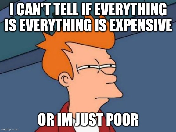 Futurama Fry Meme | I CAN'T TELL IF EVERYTHING IS EVERYTHING IS EXPENSIVE; OR IM JUST POOR | image tagged in memes,futurama fry | made w/ Imgflip meme maker