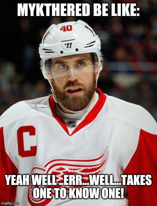 zetterberg NHL hockey detroit redwings comeback awesome  | MYKTHERED BE LIKE: YEAH WELL ..ERR...WELL...TAKES ONE TO KNOW ONE! | image tagged in zetterberg nhl hockey detroit redwings comeback awesome | made w/ Imgflip meme maker