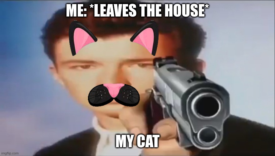 Say Goodbye | ME: *LEAVES THE HOUSE*; MY CAT | image tagged in say goodbye | made w/ Imgflip meme maker