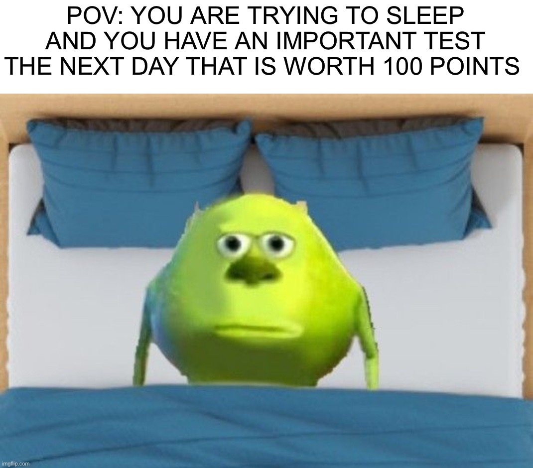 You can’t fall asleep AT ALL | POV: YOU ARE TRYING TO SLEEP AND YOU HAVE AN IMPORTANT TEST THE NEXT DAY THAT IS WORTH 100 POINTS | image tagged in memes,funny,school,test,relatable memes,sleep | made w/ Imgflip meme maker