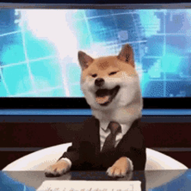 High Quality News D.O.G.E Blank Meme Template