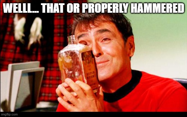 Whiskey! | WELLL... THAT OR PROPERLY HAMMERED | image tagged in whiskey | made w/ Imgflip meme maker