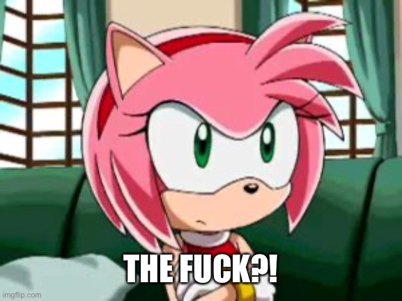 Unamused Amy Rose | THE FUCK?! | image tagged in unamused amy rose | made w/ Imgflip meme maker