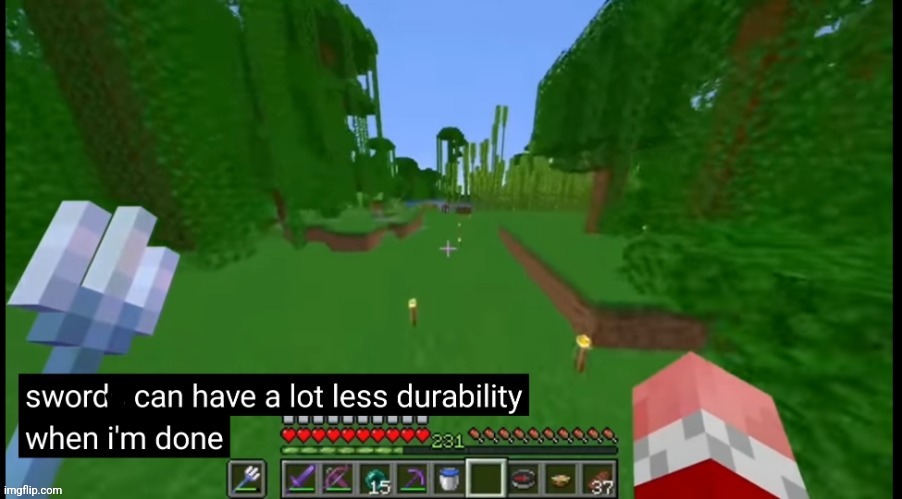Used in comment | image tagged in technoblade - sword can have a lot less durability when i'm done | made w/ Imgflip meme maker