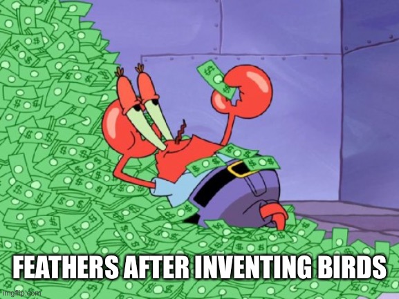 Poor quality meme | FEATHERS AFTER INVENTING BIRDS | image tagged in mr krabs money,memes | made w/ Imgflip meme maker