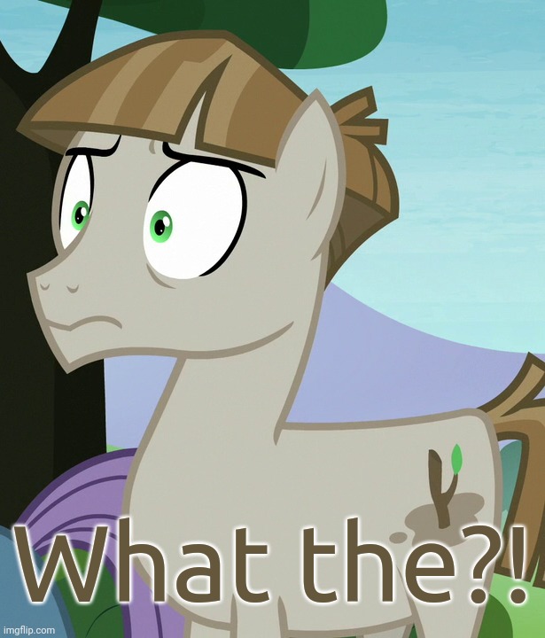 Shocked Mudbriar (MLP) | What the?! | image tagged in shocked mudbriar mlp | made w/ Imgflip meme maker