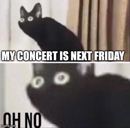 Oh no cat | MY CONCERT IS NEXT FRIDAY | image tagged in oh no cat | made w/ Imgflip meme maker