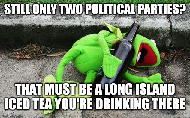 Drunk Kermit | STILL ONLY TWO POLITICAL PARTIES? THAT MUST BE A LONG ISLAND ICED TEA YOU'RE DRINKING THERE | image tagged in drunk kermit | made w/ Imgflip meme maker