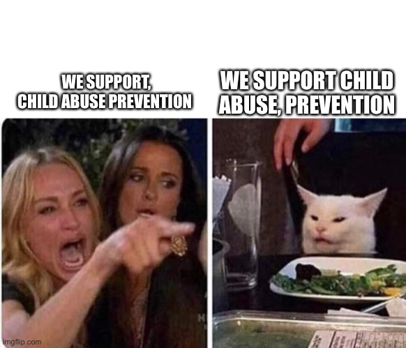 Lady screams at cat | WE SUPPORT, CHILD ABUSE PREVENTION WE SUPPORT CHILD ABUSE, PREVENTION | image tagged in lady screams at cat | made w/ Imgflip meme maker