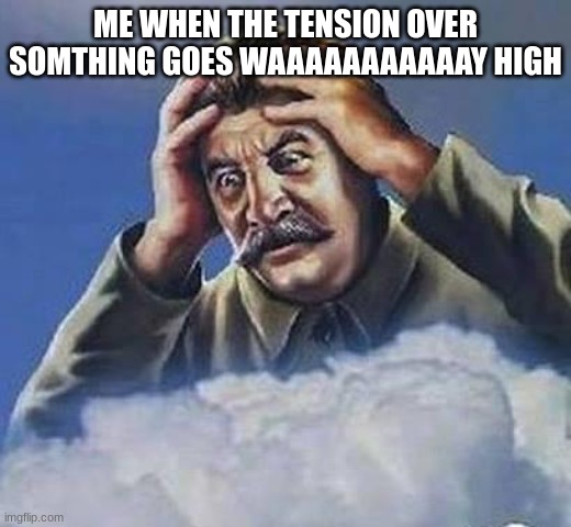 not to insult anybody, | ME WHEN THE TENSION OVER SOMTHING GOES WAAAAAAAAAAAY HIGH | image tagged in worrying stalin | made w/ Imgflip meme maker