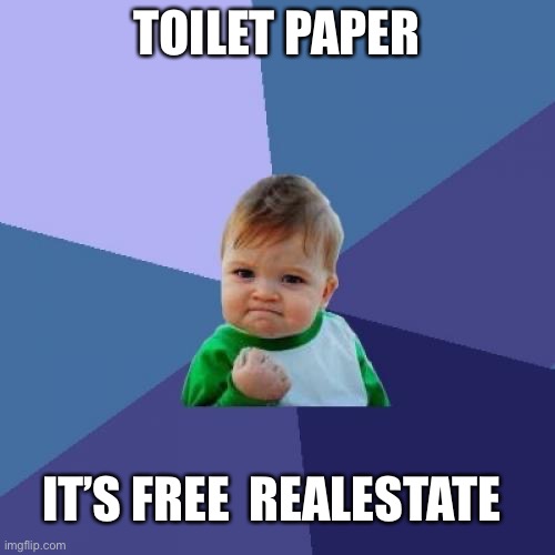 Success Kid | TOILET PAPER; IT’S FREE  REALESTATE | image tagged in memes,success kid | made w/ Imgflip meme maker