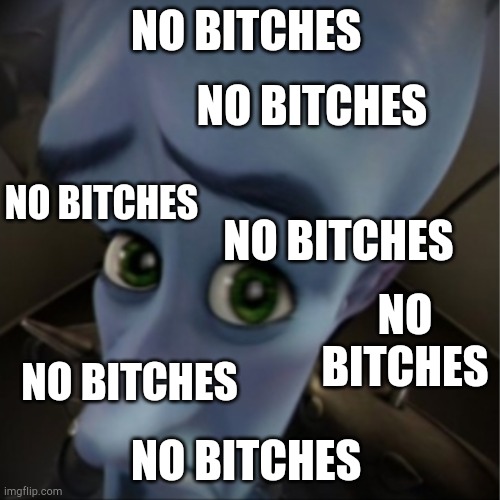 Megamind peeking | NO BITCHES; NO BITCHES; NO BITCHES; NO BITCHES; NO BITCHES; NO BITCHES; NO BITCHES | image tagged in megamind peeking | made w/ Imgflip meme maker