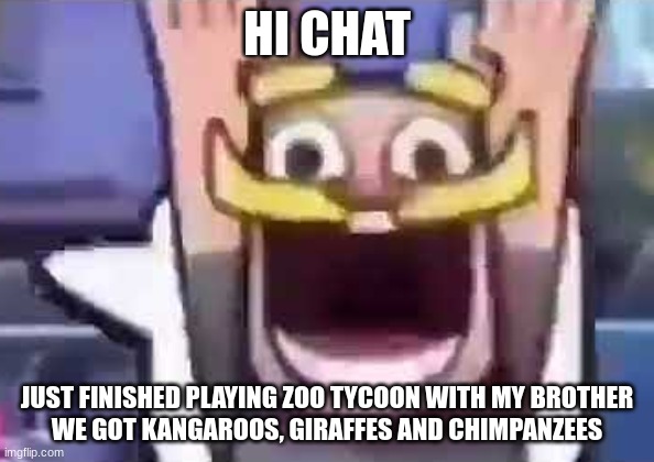 clash royale knight emote | HI CHAT; JUST FINISHED PLAYING ZOO TYCOON WITH MY BROTHER
WE GOT KANGAROOS, GIRAFFES AND CHIMPANZEES | image tagged in clash royale knight emote | made w/ Imgflip meme maker