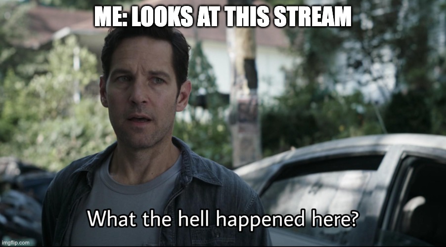 i swear, i was only gone for a day or two. | ME: LOOKS AT THIS STREAM | image tagged in what the hell happened here | made w/ Imgflip meme maker