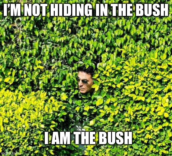 I am the bush |  I’M NOT HIDING IN THE BUSH; I AM THE BUSH | image tagged in hiding | made w/ Imgflip meme maker