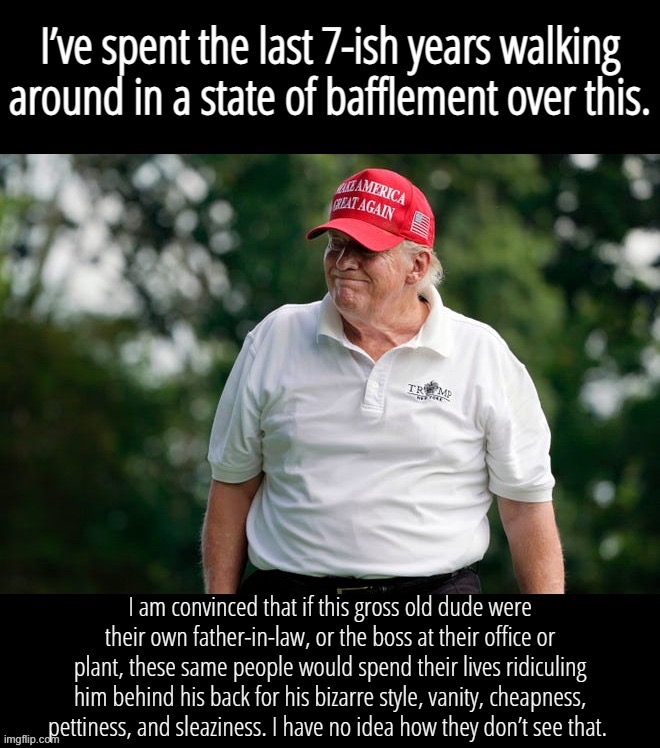 Trump is a sleazeball | image tagged in trump is a sleazeball | made w/ Imgflip meme maker