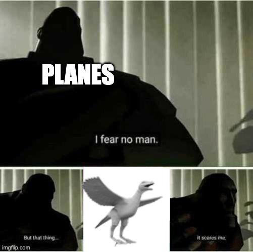 I fear no man | PLANES | image tagged in i fear no man | made w/ Imgflip meme maker