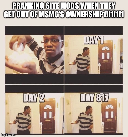 gonna prank x when he/she gets home | PRANKING SITE MODS WHEN THEY GET OUT OF MSMG’S OWNERSHIP1!!1!1!1 | image tagged in gonna prank x when he/she gets home | made w/ Imgflip meme maker