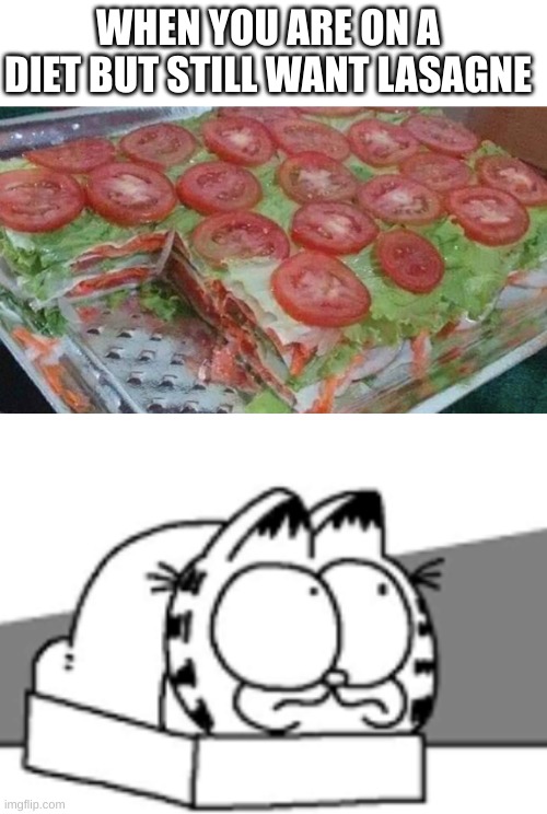 Vegetable lasagne |  WHEN YOU ARE ON A DIET BUT STILL WANT LASAGNE | image tagged in garfield,lasagna,vegans | made w/ Imgflip meme maker