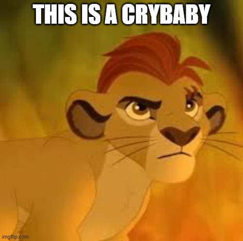 Kion crybaby | THIS IS A CRYBABY | image tagged in kion crybaby | made w/ Imgflip meme maker