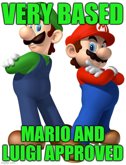 mario and lugi stop liberalism | VERY BASED MARIO AND LUIGI APPROVED | image tagged in mario and lugi stop liberalism | made w/ Imgflip meme maker