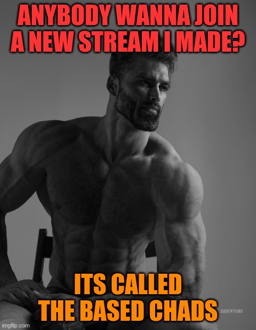 https://imgflip.com/m/based_chads | ANYBODY WANNA JOIN A NEW STREAM I MADE? ITS CALLED THE BASED CHADS | image tagged in giga chad | made w/ Imgflip meme maker