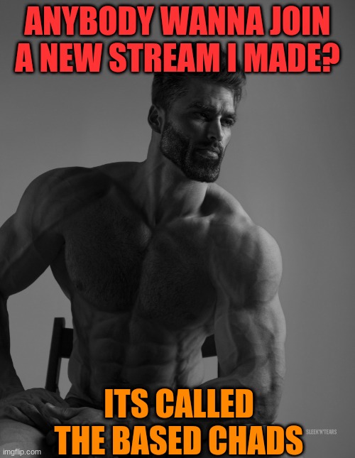https://imgflip.com/m/based_chads | ANYBODY WANNA JOIN A NEW STREAM I MADE? ITS CALLED THE BASED CHADS | image tagged in giga chad | made w/ Imgflip meme maker