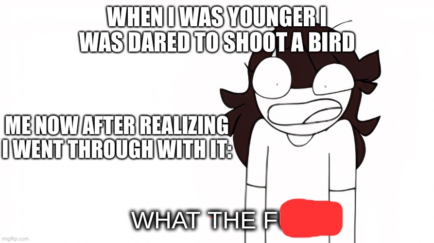 WTfrick | WHEN I WAS YOUNGER I WAS DARED TO SHOOT A BIRD; ME NOW AFTER REALIZING I WENT THROUGH WITH IT: | image tagged in jaiden animations what the fu-,jaiden animations,sad | made w/ Imgflip meme maker