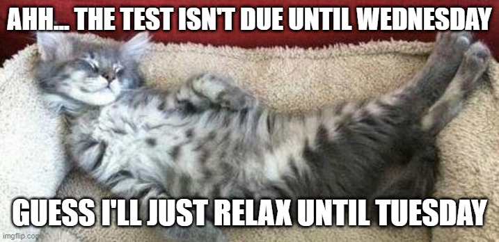 one week to take a test | AHH... THE TEST ISN'T DUE UNTIL WEDNESDAY; GUESS I'LL JUST RELAX UNTIL TUESDAY | image tagged in relaxed cat | made w/ Imgflip meme maker