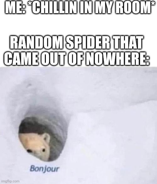 Some huge ass spider came from under my chair and scared me like hell | ME: *CHILLIN IN MY ROOM*; RANDOM SPIDER THAT CAME OUT OF NOWHERE: | image tagged in spider | made w/ Imgflip meme maker