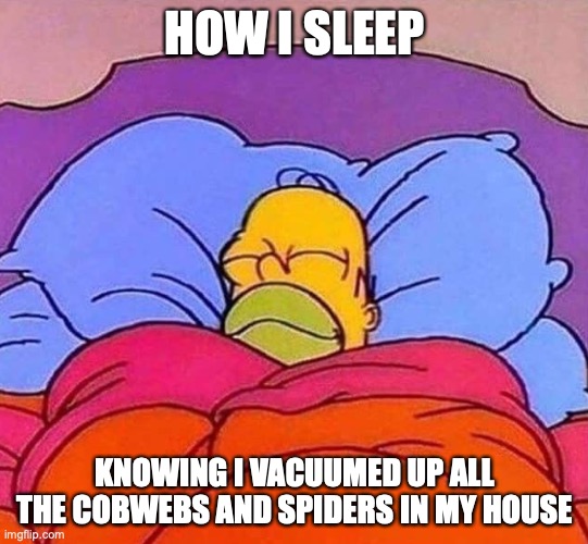 how I sleep | HOW I SLEEP; KNOWING I VACUUMED UP ALL THE COBWEBS AND SPIDERS IN MY HOUSE | image tagged in homer simpson sleeping peacefully | made w/ Imgflip meme maker