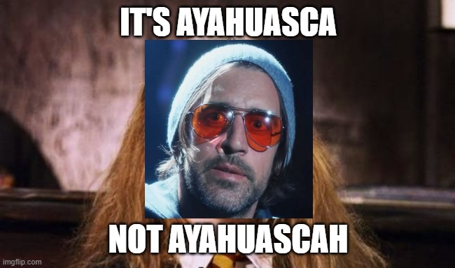 Leviosah | IT'S AYAHUASCA; NOT AYAHUASCAH | image tagged in leviosah | made w/ Imgflip meme maker