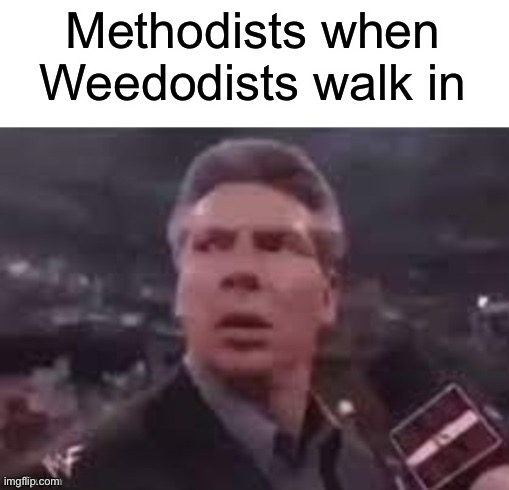 Should have gone with cokedodists | Methodists when Weedodists walk in | image tagged in x when x walks in | made w/ Imgflip meme maker