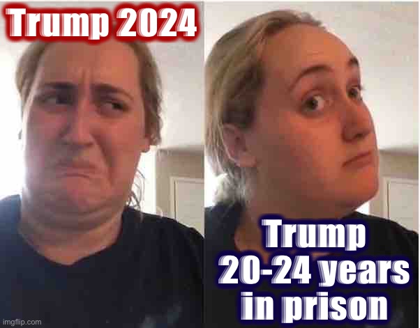 50/50 odds | Trump 2024; Trump 20-24 years in prison | image tagged in hmmm | made w/ Imgflip meme maker