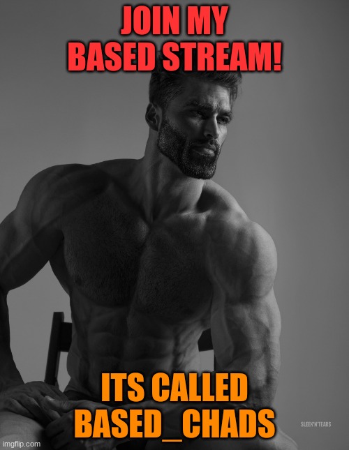 https://imgflip.com/m/based_chads | JOIN MY BASED STREAM! ITS CALLED BASED_CHADS | image tagged in giga chad | made w/ Imgflip meme maker