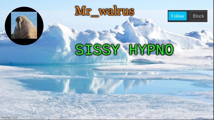 Mr_walrus | SISSY HYPNO | image tagged in mr_walrus | made w/ Imgflip meme maker