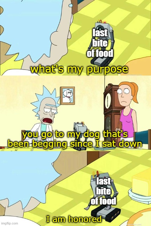 What's My Purpose - Butter Robot | last bite of food; what's my purpose; you go to my dog that's been begging since I sat down; last bite of food; I am honored | image tagged in what's my purpose - butter robot | made w/ Imgflip meme maker