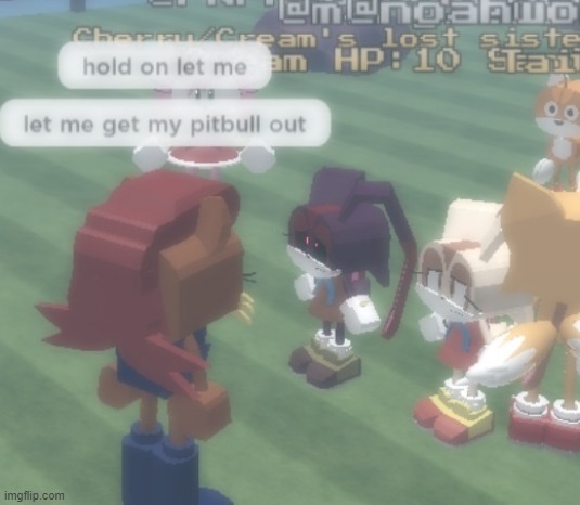 6 YEAR OLD SPOTTED, PITBULL GO! | made w/ Imgflip meme maker