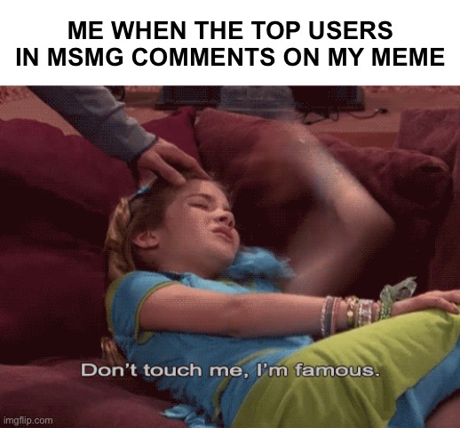 Don't Touch me I'm famous | ME WHEN THE TOP USERS IN MSMG COMMENTS ON MY MEME | image tagged in don't touch me i'm famous,welcome to downtown coolsville | made w/ Imgflip meme maker