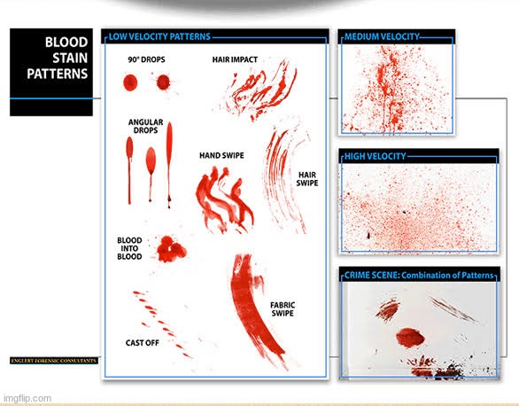 blood stain patterns police use to determine how a murder happened | made w/ Imgflip meme maker