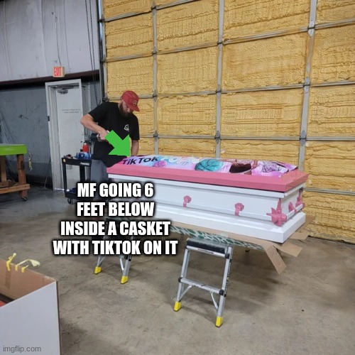 personally you would never catch me in one of those | MF GOING 6 FEET BELOW INSIDE A CASKET WITH TIKTOK ON IT | made w/ Imgflip meme maker