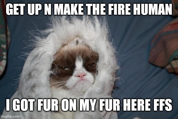 Cold grumpy cat  | GET UP N MAKE THE FIRE HUMAN; I GOT FUR ON MY FUR HERE FFS | image tagged in cold grumpy cat | made w/ Imgflip meme maker