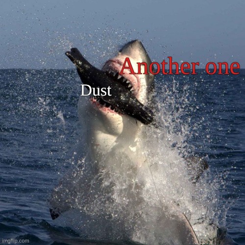 Queen | Another one; Dust | image tagged in shark | made w/ Imgflip meme maker